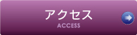  ACCESS